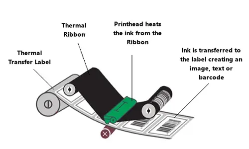 Thermal Transfer - Shipping Label - Image 3